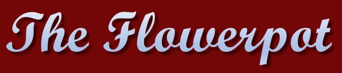 The Flowerpot Logo