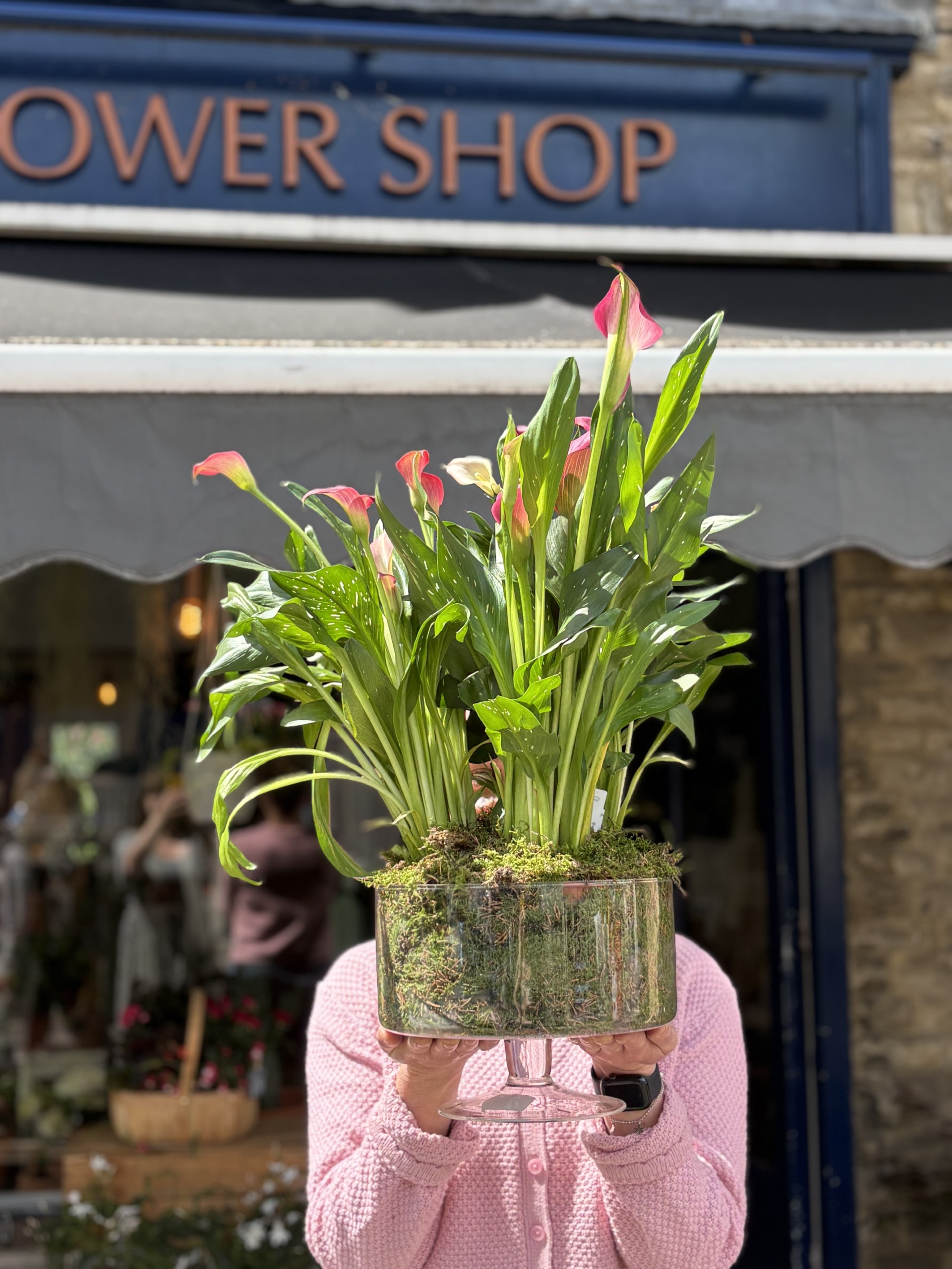 Plants Delivery Witney Oxfordshire - The Flower Shop
