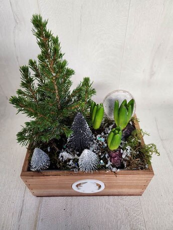 Wooden Bulb Planter Flower Arrangement