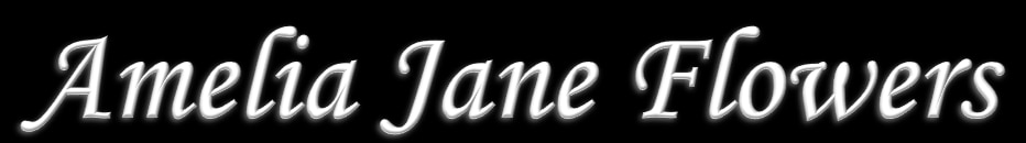 Amelia Jane - Logo