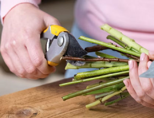 Trimming stems
